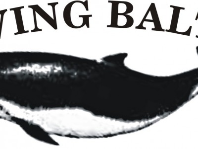 DIVING BALTIC