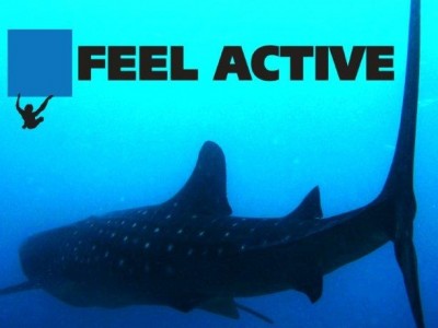 FeelActive.pl